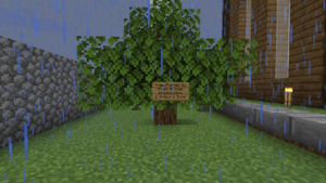 An image of a tree planted by the Plant a Tree Organisation.