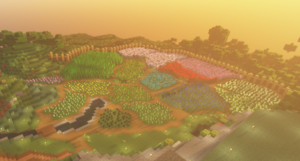 Flower Field.png